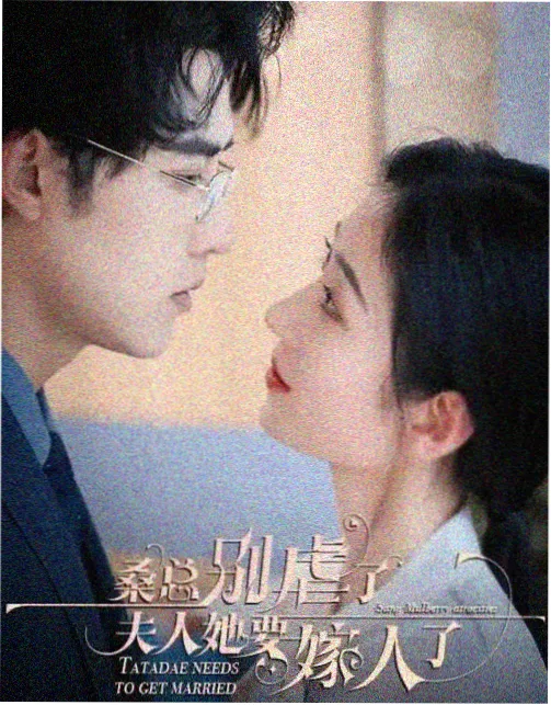 职场剧集